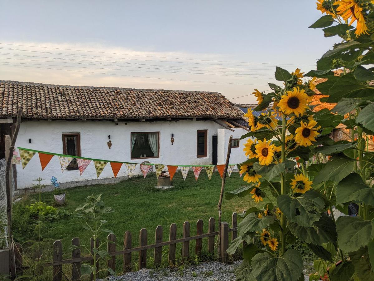 Serendipity Cottage Palamartsa Palamarza Luaran gambar